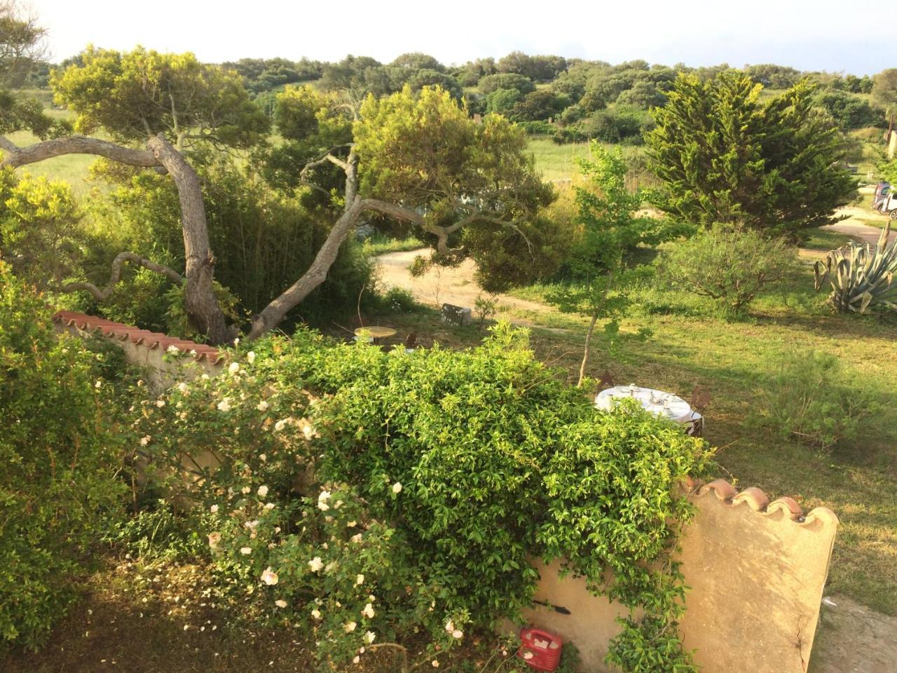A Loghja Di Cavallo Morto Bonifacio  Exterior foto